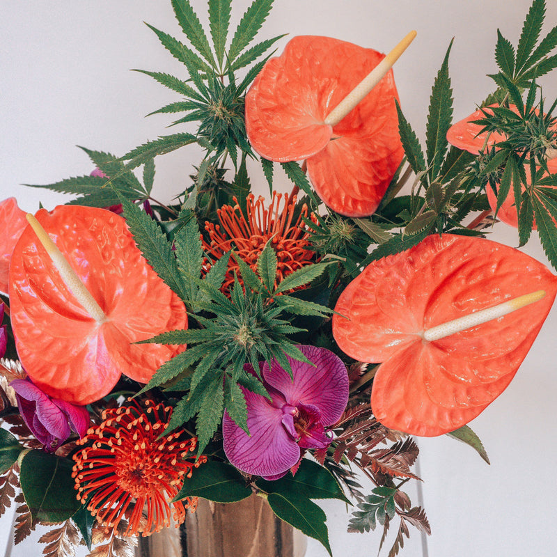 Monthly Love Fresh Subscription